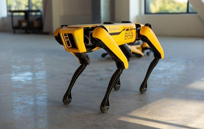 Адам Сэвидж протеститровал робота-собаку от Boston Dynamics