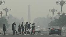 Загрязнение воздуха существенно повышает риск бесплодия 