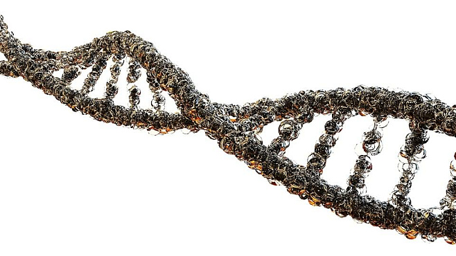 Метаболические молекулы могут хранить информацию так же, как и ДНК