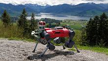 Как роботы учатся передвигаться по труднопроходимой местности