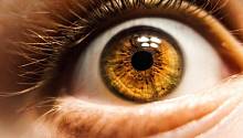 Стволовые клетки помогут восстановить нарушенное зрение