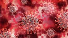 Ученые нашли «ахиллесову пяту» коронавируса