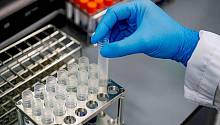 Учёные Петербурга примут участие в разработке международного стандарта против коронавируса