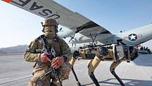 Военные США используют собак-роботов для охраны баз ВВС