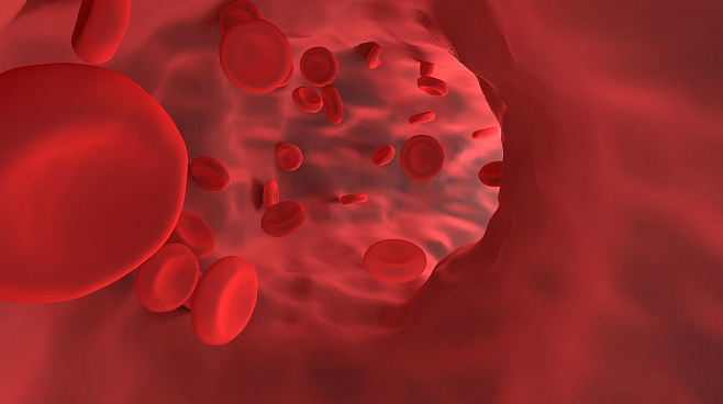 Ученые разработали новый метод выращивания кровеносных сосудов 