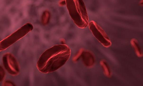 Анализ крови может предсказать ухудшение рассеянного склероза 