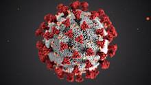 Европейские медики сообщили о появлении нового вида коронавируса