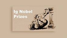 Шнобелевская премия 2013