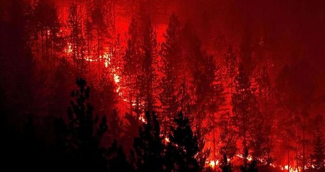 В США создали эффективное средство для борьбы с лесными пожарами