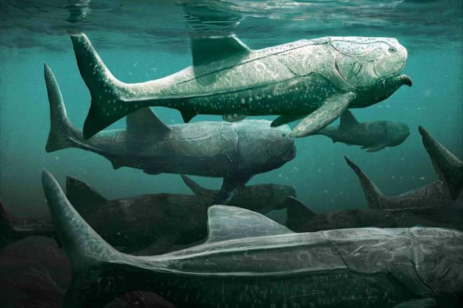 Гигантская древняя рыба Титанихтис питалась планктоном и не закрывала рот 