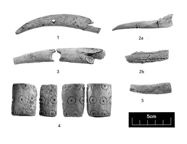 Археологи обнаружили в Англии артефакты железного века 
