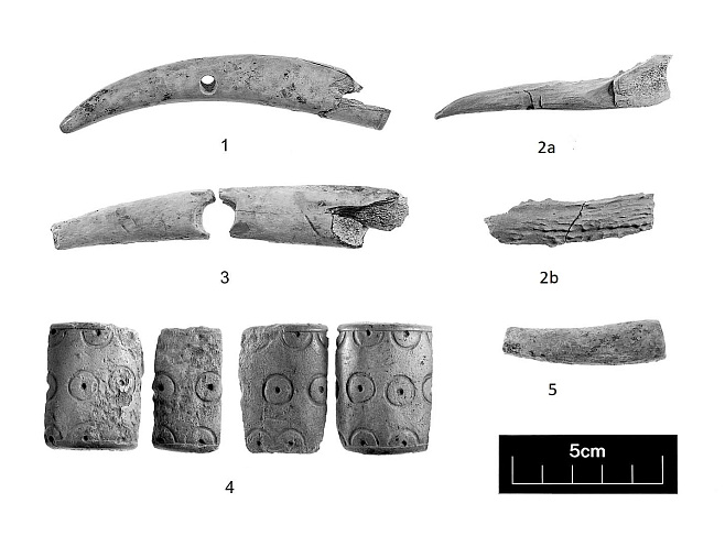 Археологи обнаружили в Англии артефакты железного века 