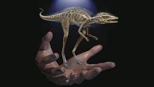 Невероятно крохотный предок динозавров найден на Мадагаскаре