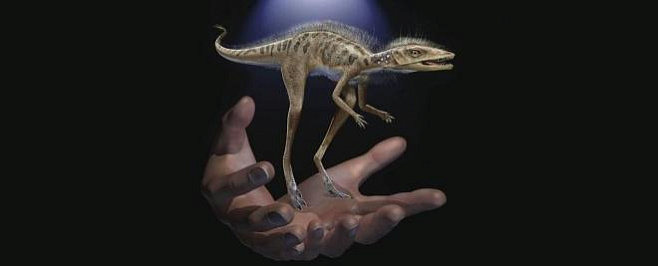 Невероятно крохотный предок динозавров найден на Мадагаскаре