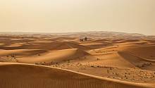 Песчаные дюны могут «общаться» друг с другом