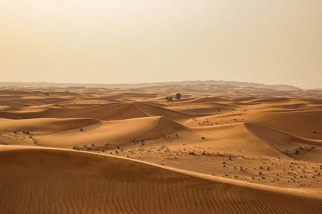 Песчаные дюны могут «общаться» друг с другом