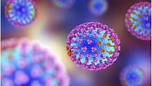 Выявлены различия иммунной реакции на вирус гриппа у людей разных популяций
