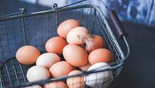 Роскачество: яйца, грибы и мясо птицы не нужно мыть перед приготовлением