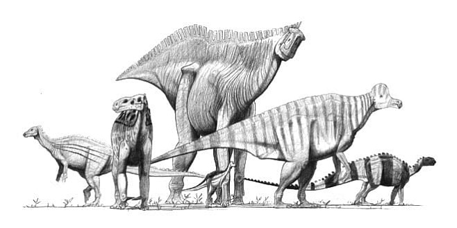 В Австралии найдены останки динозавров, свидетельствующие о разнообразии орнитоподов