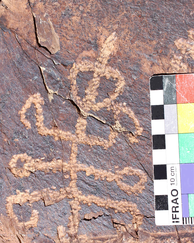 В Иране обнаружен древний петроглиф богомола
