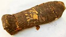 Мумия сокола оказалась мумией мертворожденного ребенка