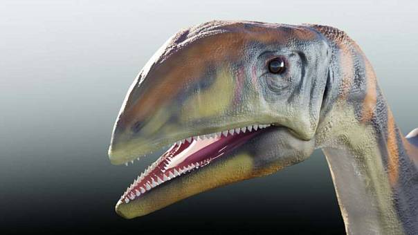 Установлен вид древнейшего гренландского динозавра