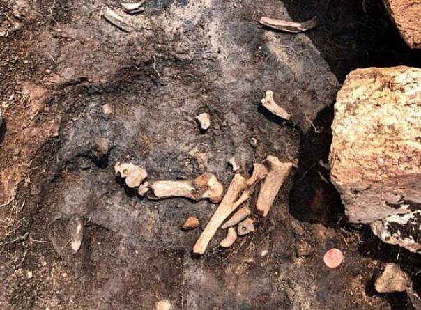 Археологи обнаружили следы древних жертвоприношений на кургане Туннуг 