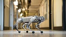 Представлен новый робот Mini Cheetah