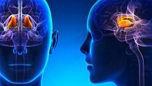 Стимуляция мозга может поспособствовать выходу из комы 