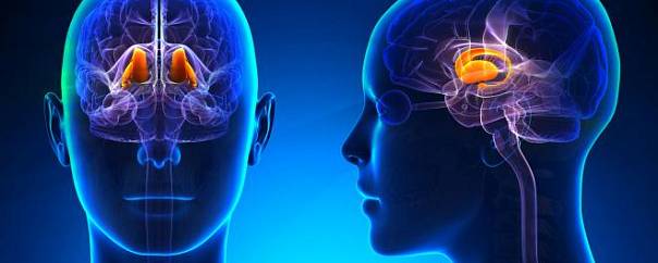 Стимуляция мозга может поспособствовать выходу из комы 