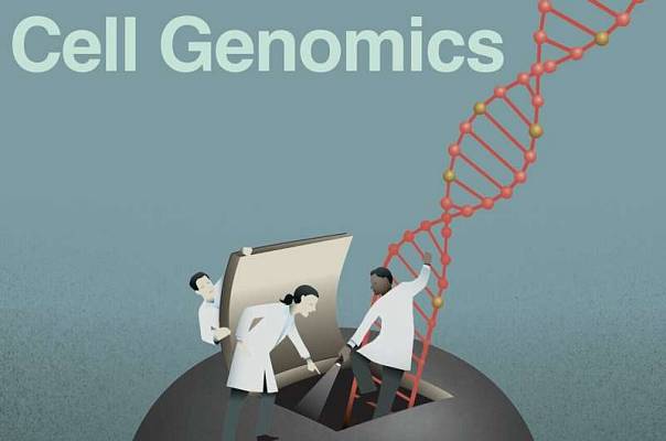 Инновационная геномная технология поможет выявлять новые типы клеток