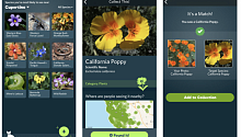 Приложение от iNaturalist определяет животных и растения