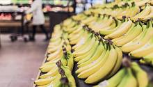 Меняющийся климат может свести к нулю урожайность бананов