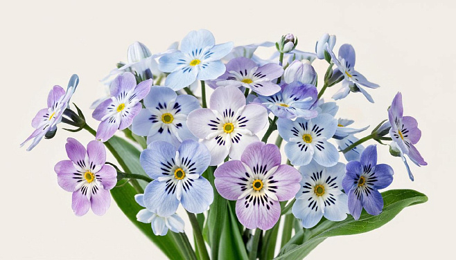 Как алгоритм для подбора природных поверхностей ускорит создание биосенсоров — рассказывает эксперт Пироговского Университета