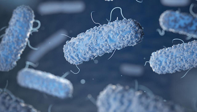 Доказана эффективность кишечных бактерий в борьбе с аллергией