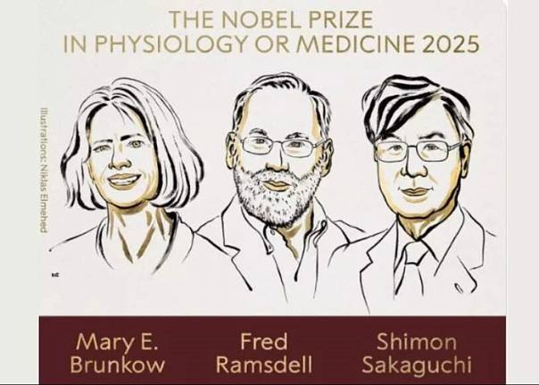 Что мешает иммунитету бороться с раком