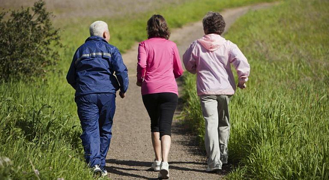 Утренняя физическая активность влияет на качество когнитивных проявлений в течение дня у пожилых людей