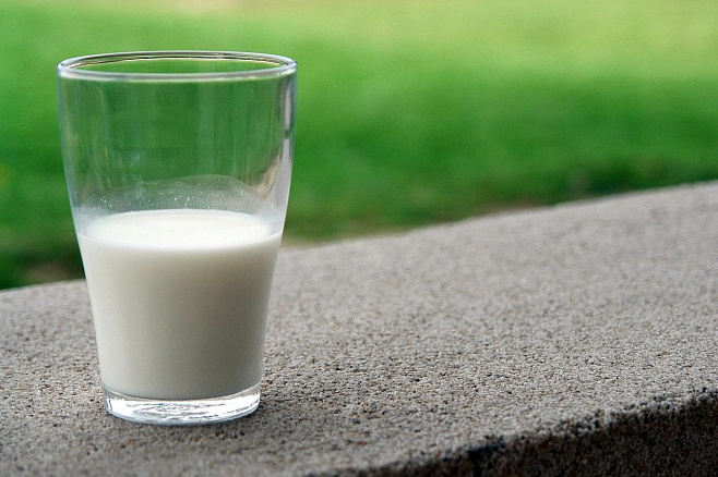 Не пейте, дети, молоко – будете здоровы?  