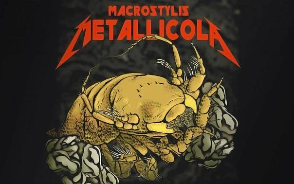 В честь группы Metallica назвали слепое глубоководное ракообразное