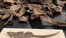 На месте римского форта археологи нашли вырезанную из кожи игрушечную мышь 