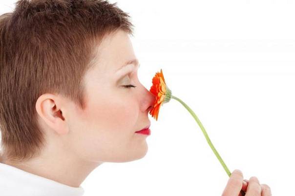 Запахи могут повлиять на обмен веществ