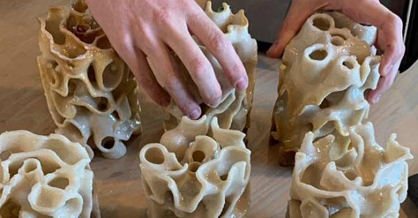 3D-печать спасёт коралловые рифы от разрушения