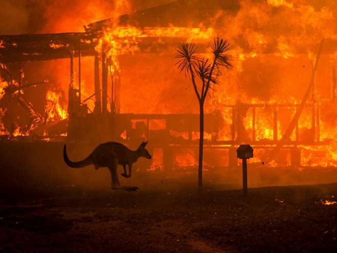 Невиданные пожары в Австралии связаны с изменениями климата