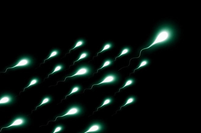 Обнаружена связь между качеством спермы и влиянием света от гаджетов по ночам