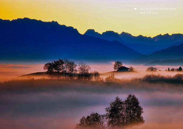 Механизм успеха: январь 2026