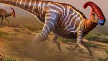 Ученым не хватает данных, чтобы отличить самок динозавров от самцов