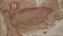 Старейшему в мире наскальному рисунку 45,5 тысяч лет! 