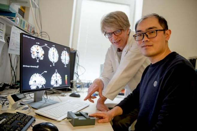 Ученые нашли область мозга, которая отвечает за смену решений