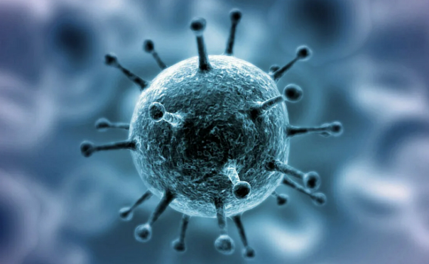 Исследование: Первоначальная вспышка коронавируса в Китае произошла ещё в сентябре