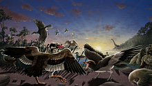 Две новые доисторические птицы обнаружены палеонтологами в Китае 